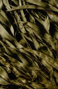 d8b2216e654c5a0569a8a42f33119793.jpg