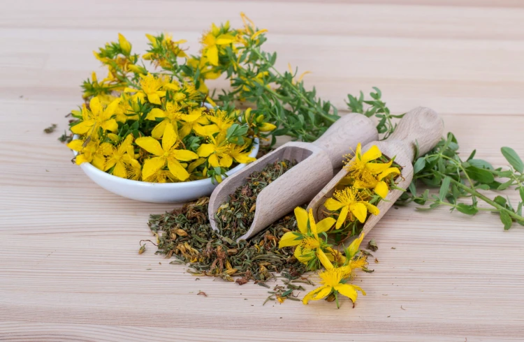 finjam-saint-johns-wort-5938314.jpg
