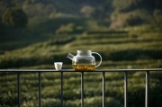 Sencha – zielona herbata liściasta, klasyczna – zdjęcie 3