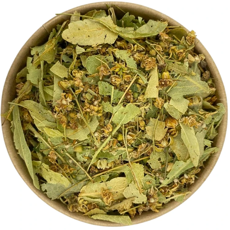 Lipa kwiat Cały naturalny susz do aromatycznego naparu – zdjęcie 3