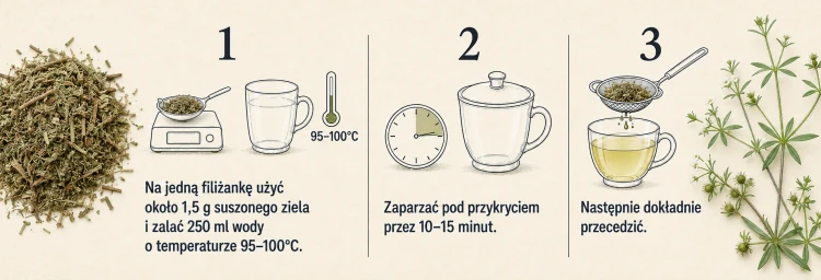 Przytulia czepna ziele naturalny susz do naparu – zdjęcie 5