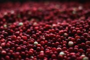 Syrop żurawinowy Spichlerz 330 ml do herbaty napojów i deserów – zdjęcie 3